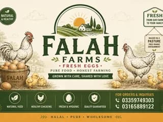 Golden Desi Eggs